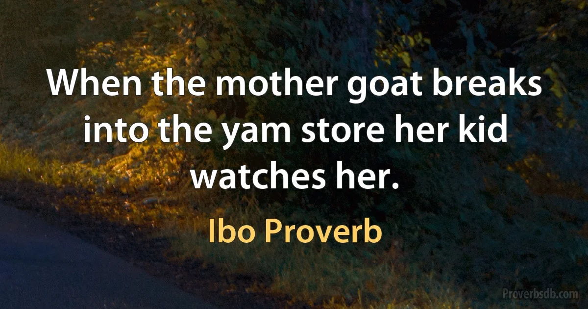 When the mother goat breaks into the yam store her kid watches her. (Ibo Proverb)