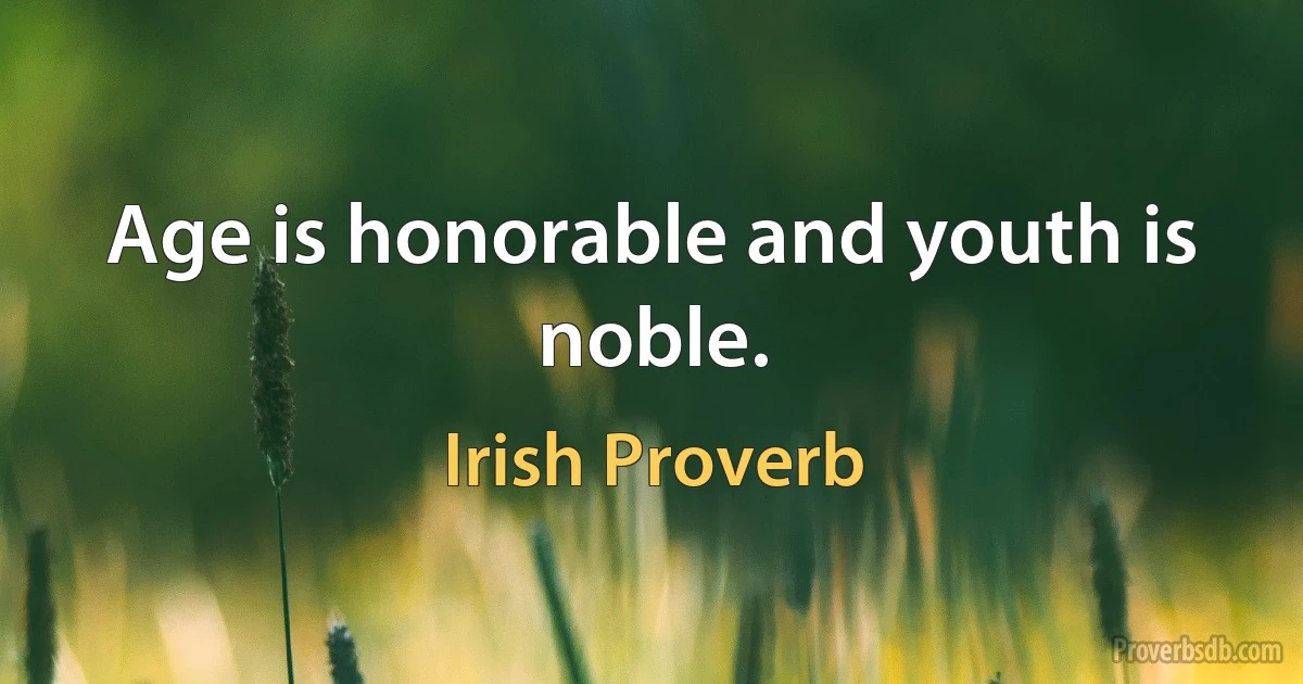 Age is honorable and youth is noble. (Irish Proverb)