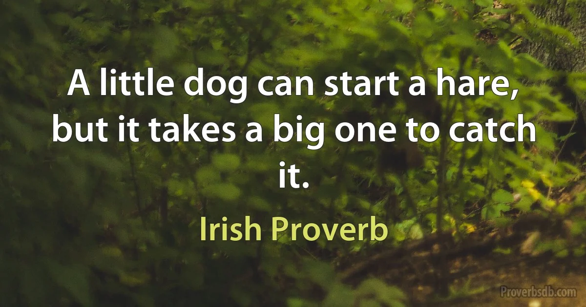 A little dog can start a hare, but it takes a big one to catch it. (Irish Proverb)