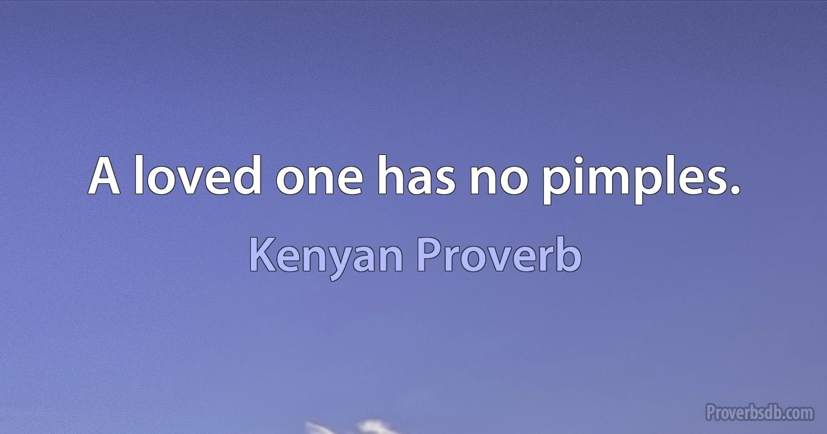 A loved one has no pimples. (Kenyan Proverb)