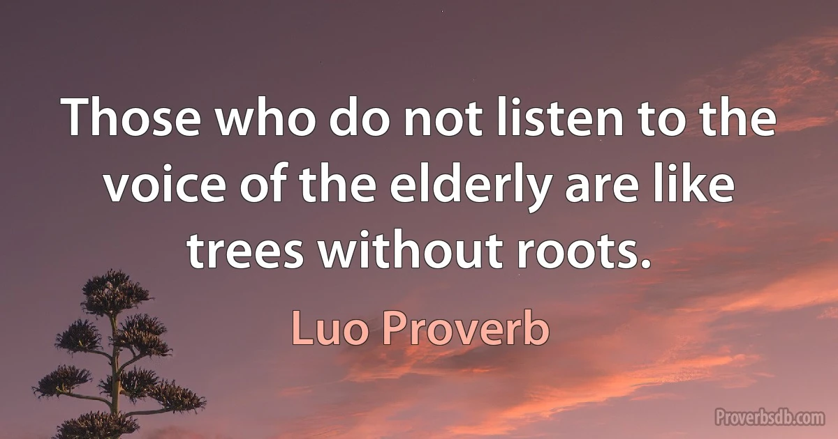 Those who do not listen to the voice of the elderly are like trees without roots. (Luo Proverb)