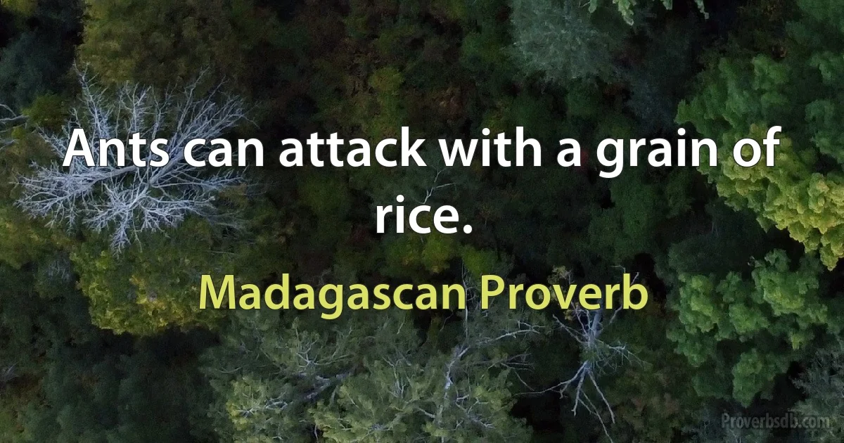 Ants can attack with a grain of rice. (Madagascan Proverb)