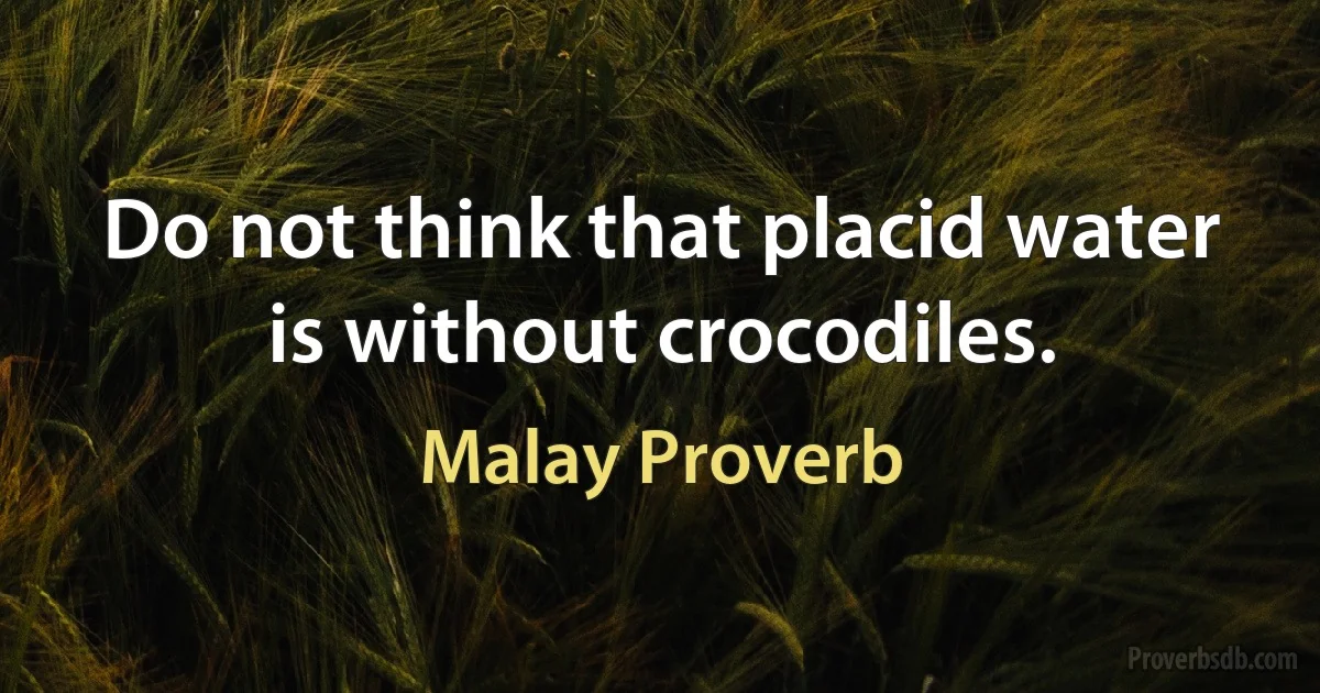 Do not think that placid water is without crocodiles. (Malay Proverb)