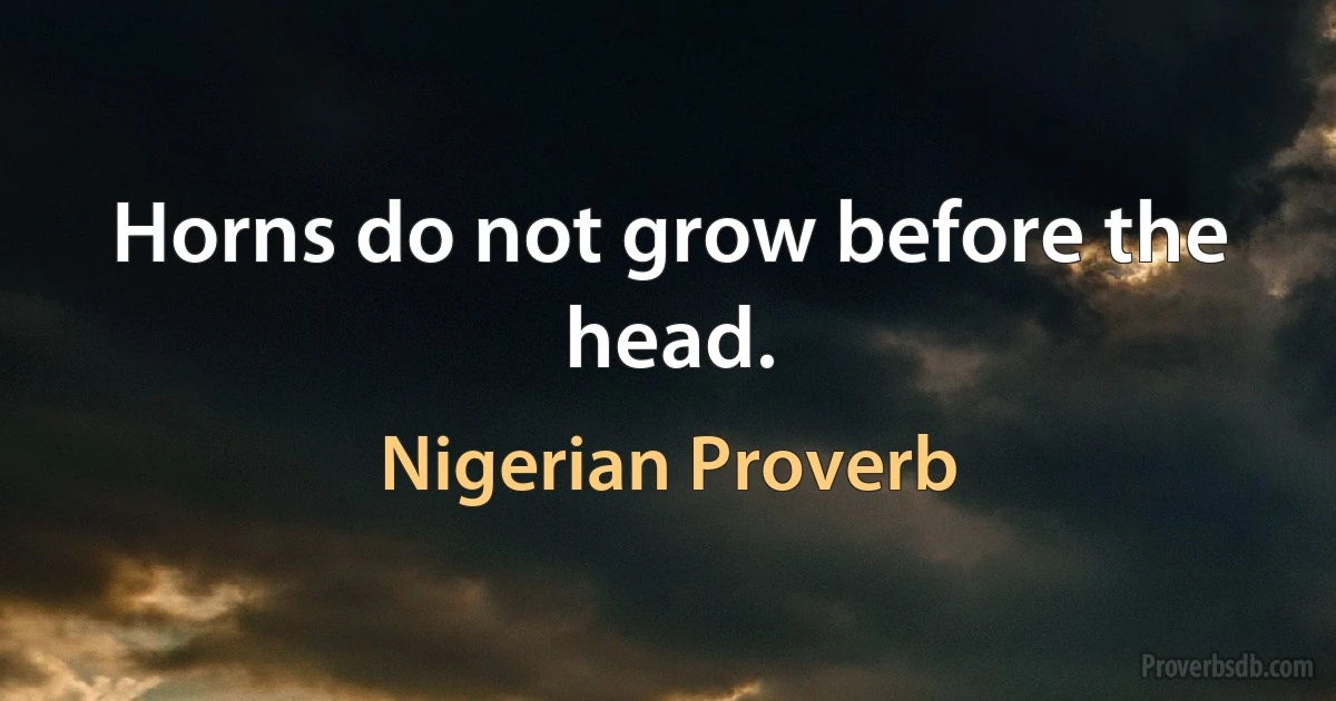 Horns do not grow before the head. (Nigerian Proverb)