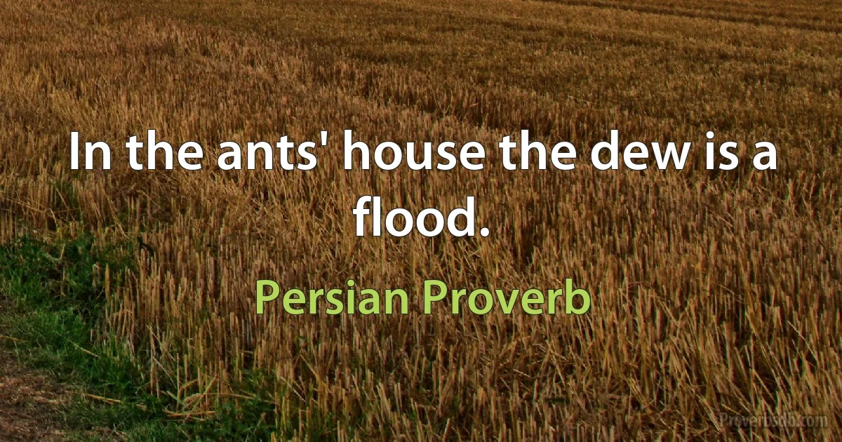 In the ants' house the dew is a flood. (Persian Proverb)