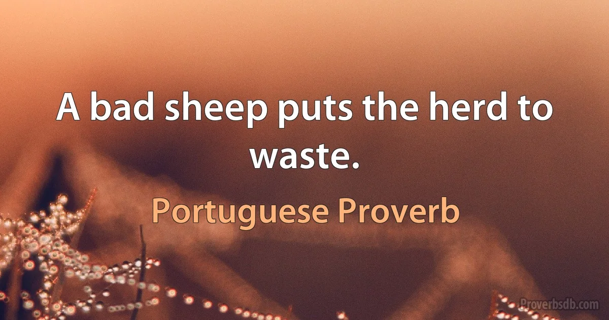 A bad sheep puts the herd to waste. (Portuguese Proverb)