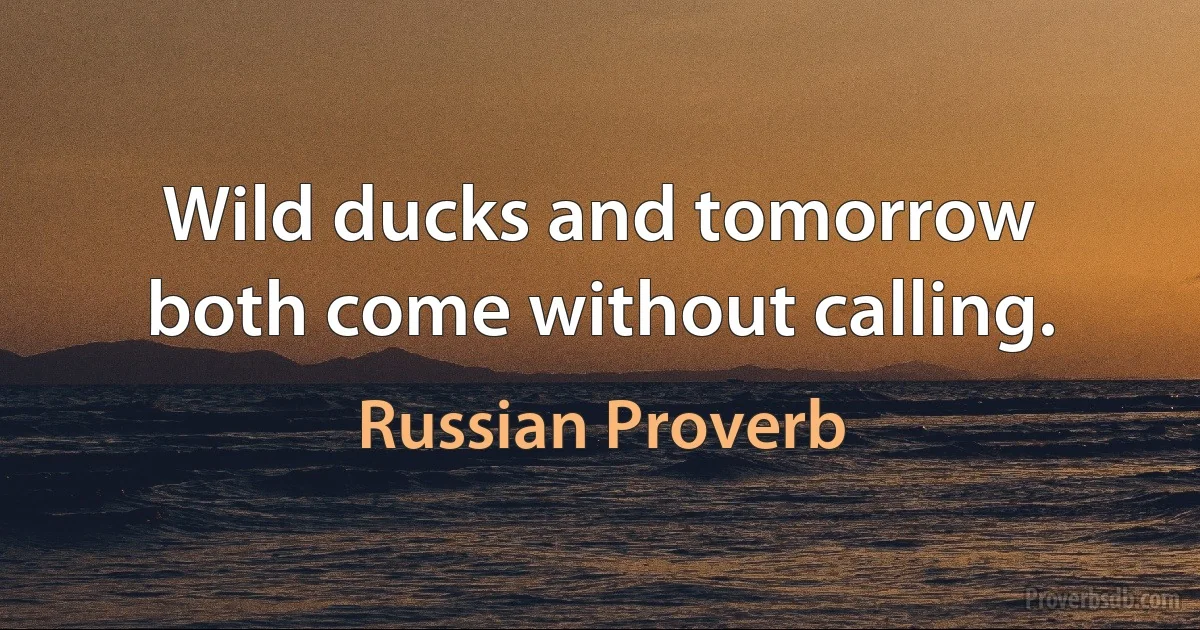 Wild ducks and tomorrow both come without calling. (Russian Proverb)