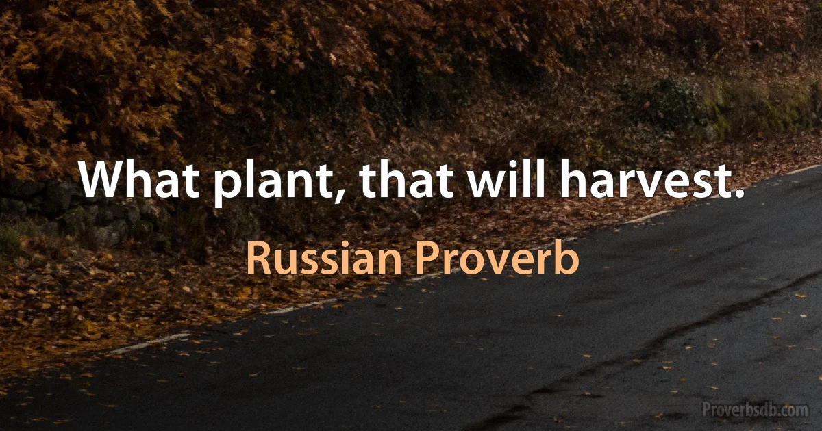 What plant, that will harvest. (Russian Proverb)