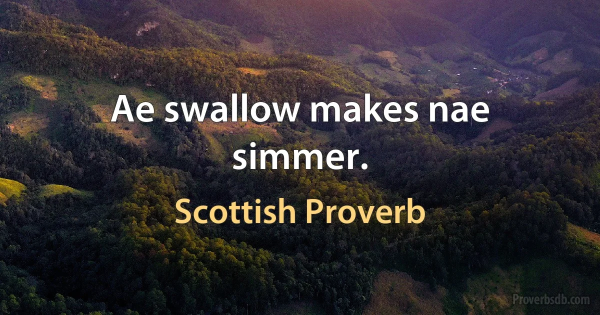 Ae swallow makes nae simmer. (Scottish Proverb)