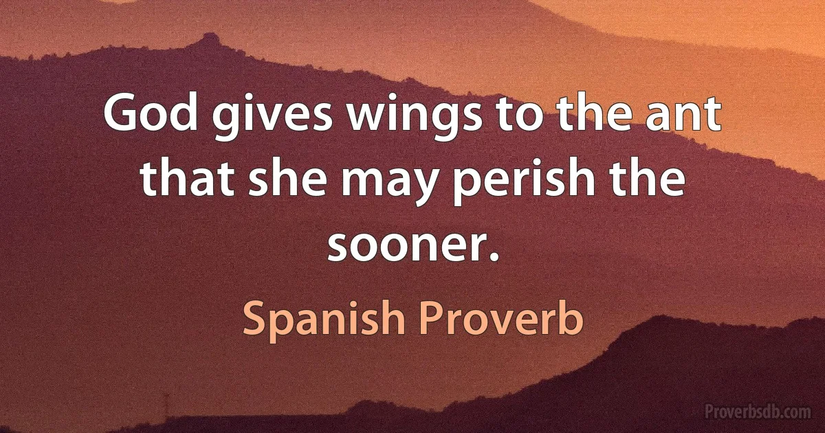 God gives wings to the ant that she may perish the sooner. (Spanish Proverb)