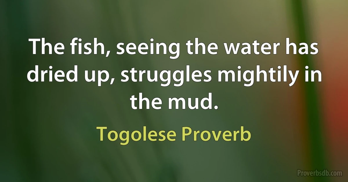 The fish, seeing the water has dried up, struggles mightily in the mud. (Togolese Proverb)