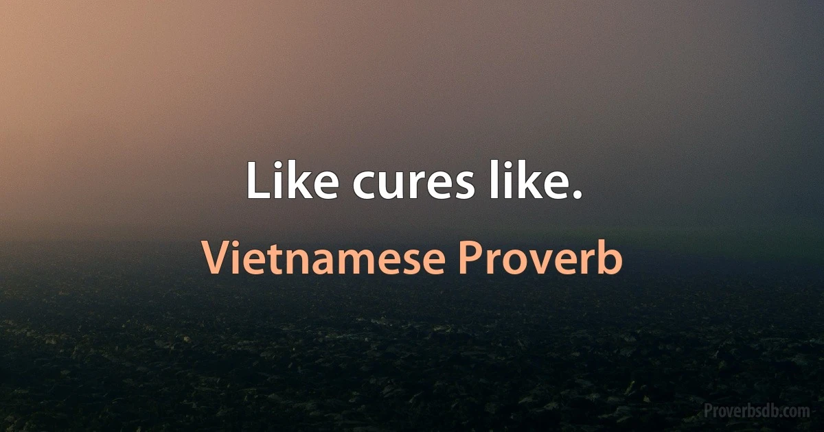 Like cures like. (Vietnamese Proverb)