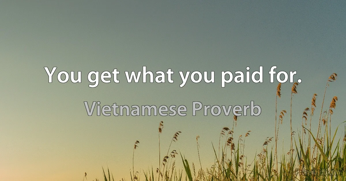 You get what you paid for. (Vietnamese Proverb)