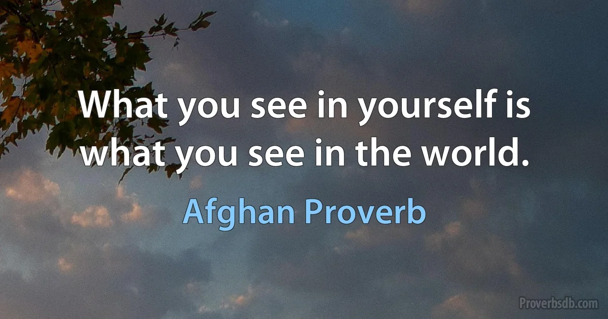 What you see in yourself is what you see in the world. (Afghan Proverb)