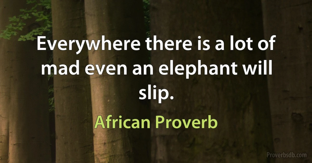 Everywhere there is a lot of mad even an elephant will slip. (African Proverb)