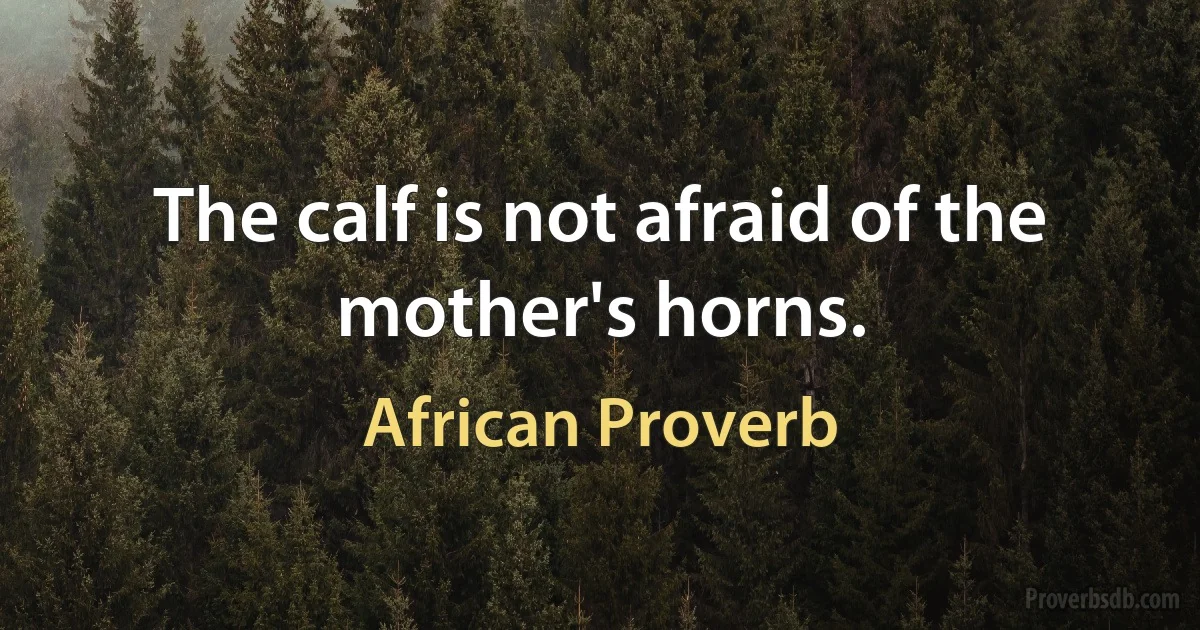 The calf is not afraid of the mother's horns. (African Proverb)