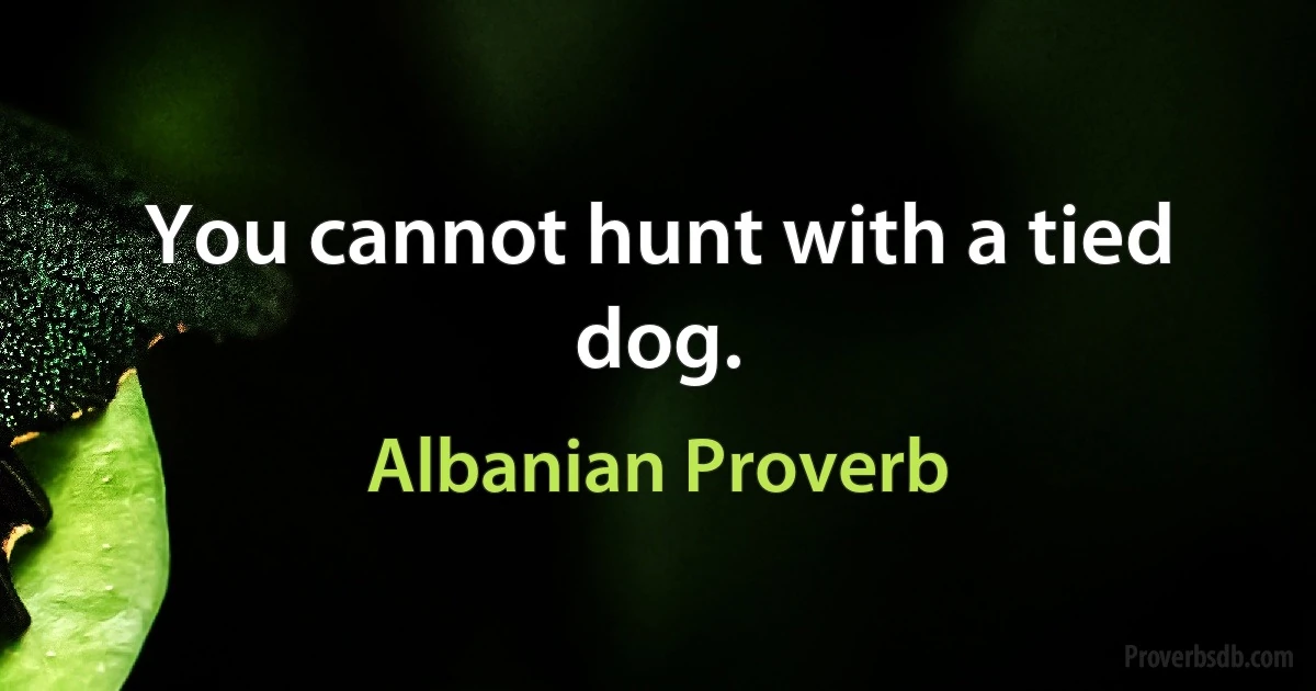 You cannot hunt with a tied dog. (Albanian Proverb)