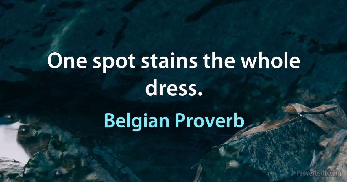 One spot stains the whole dress. (Belgian Proverb)