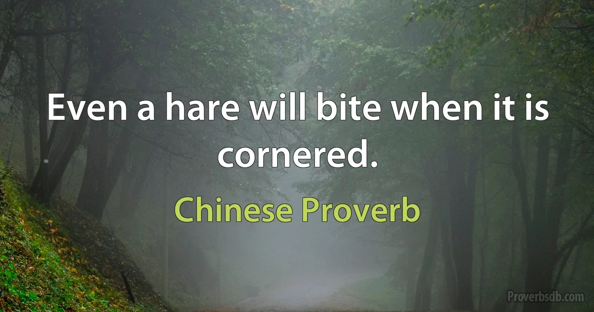 Even a hare will bite when it is cornered. (Chinese Proverb)