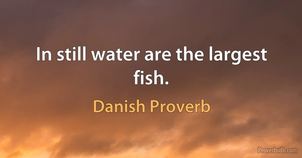 In still water are the largest fish. (Danish Proverb)