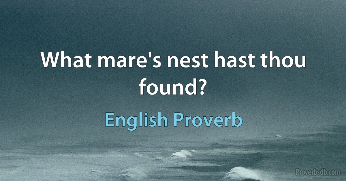 What mare's nest hast thou found? (English Proverb)