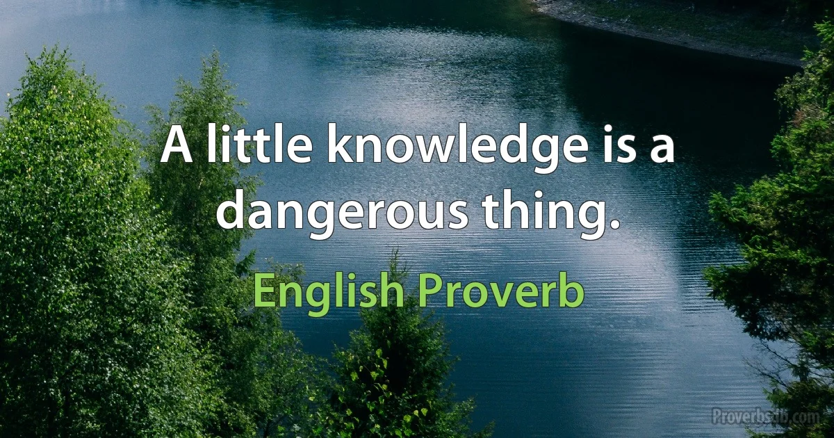 A little knowledge is a dangerous thing. (English Proverb)