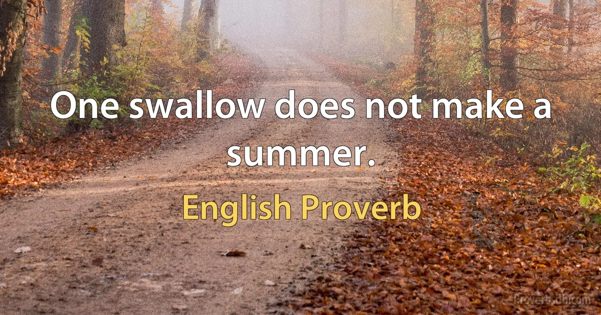 One swallow does not make a summer. (English Proverb)