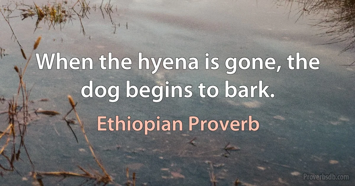 When the hyena is gone, the dog begins to bark. (Ethiopian Proverb)