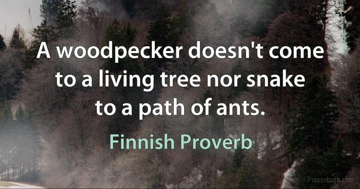 A woodpecker doesn't come to a living tree nor snake to a path of ants. (Finnish Proverb)