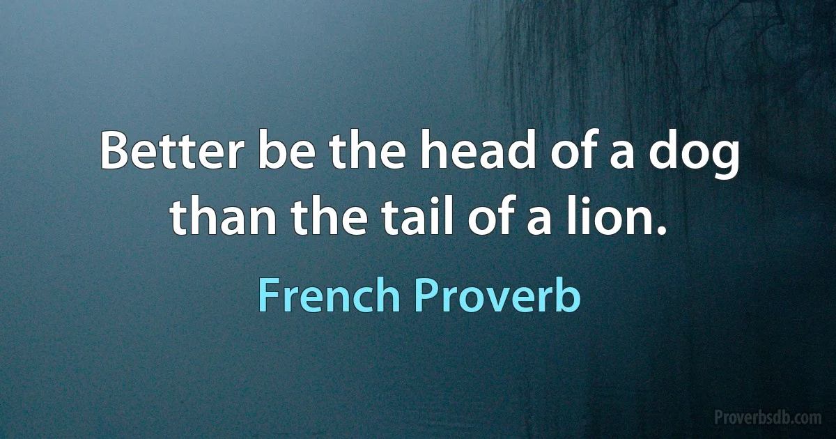 Better be the head of a dog than the tail of a lion. (French Proverb)