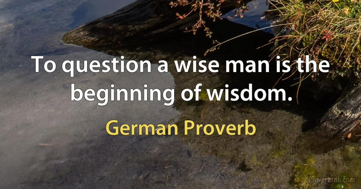 To question a wise man is the beginning of wisdom. (German Proverb)