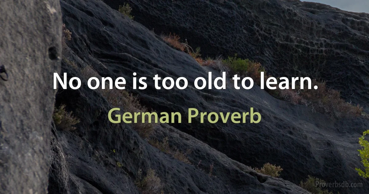 No one is too old to learn. (German Proverb)