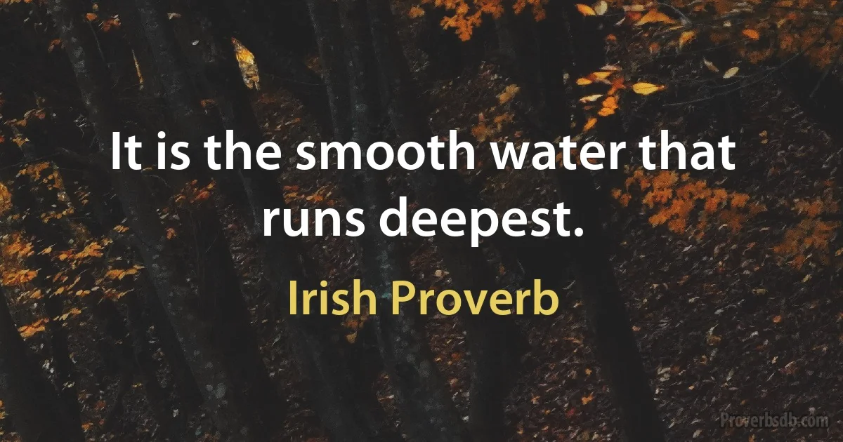 It is the smooth water that runs deepest. (Irish Proverb)