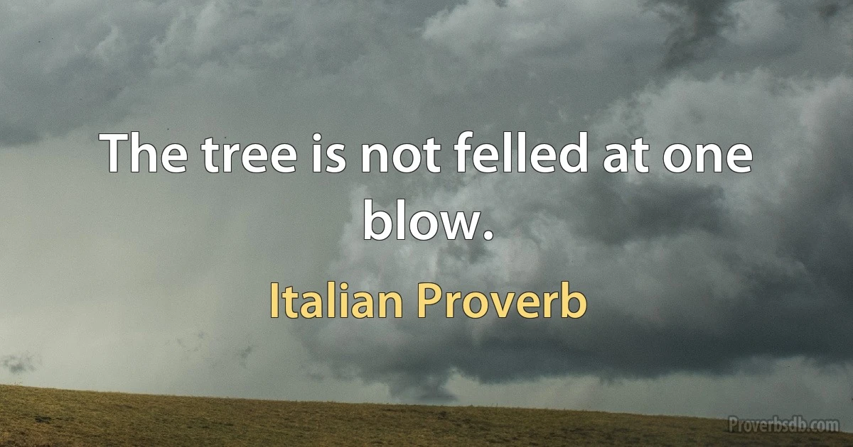 The tree is not felled at one blow. (Italian Proverb)