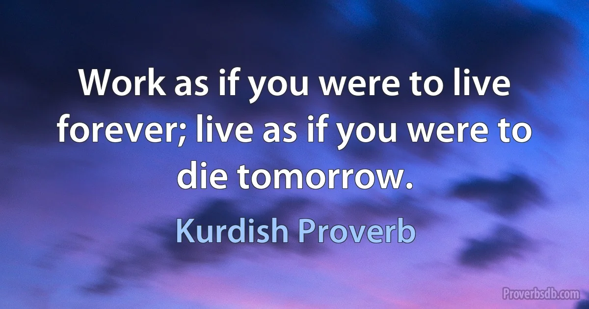 Work as if you were to live forever; live as if you were to die tomorrow. (Kurdish Proverb)