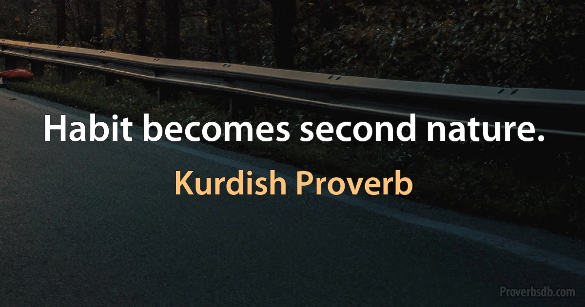 Habit becomes second nature. (Kurdish Proverb)