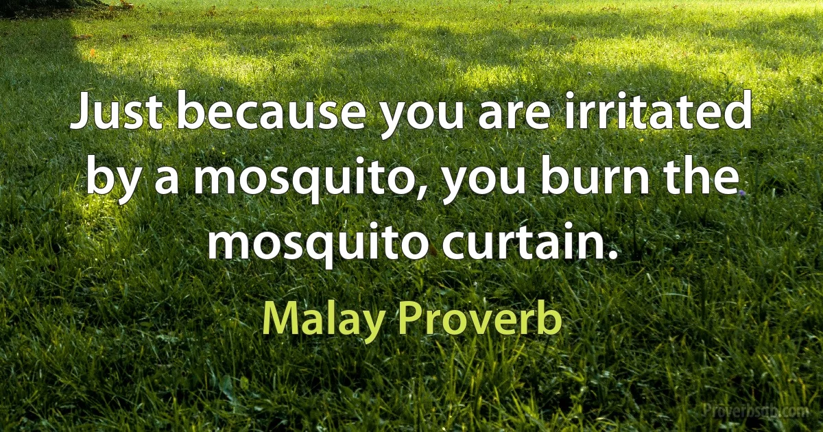 Just because you are irritated by a mosquito, you burn the mosquito curtain. (Malay Proverb)