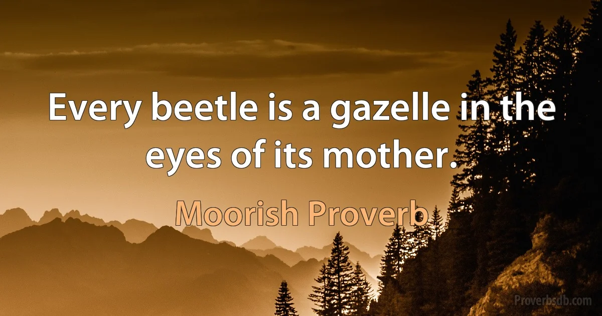 Every beetle is a gazelle in the eyes of its mother. (Moorish Proverb)