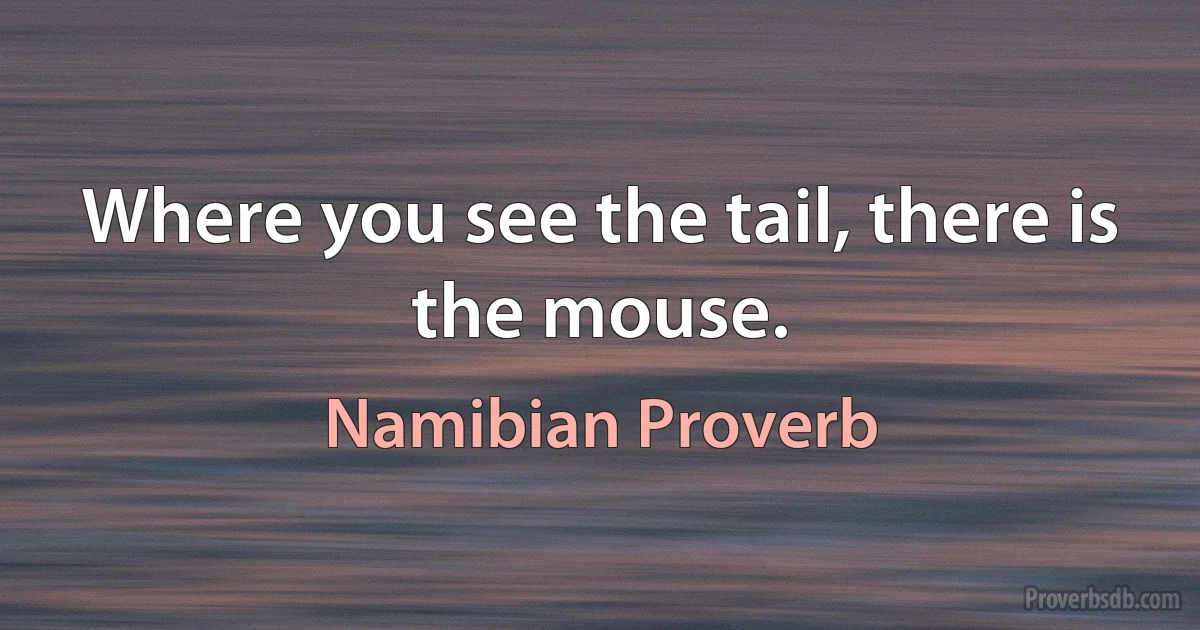 Where you see the tail, there is the mouse. (Namibian Proverb)