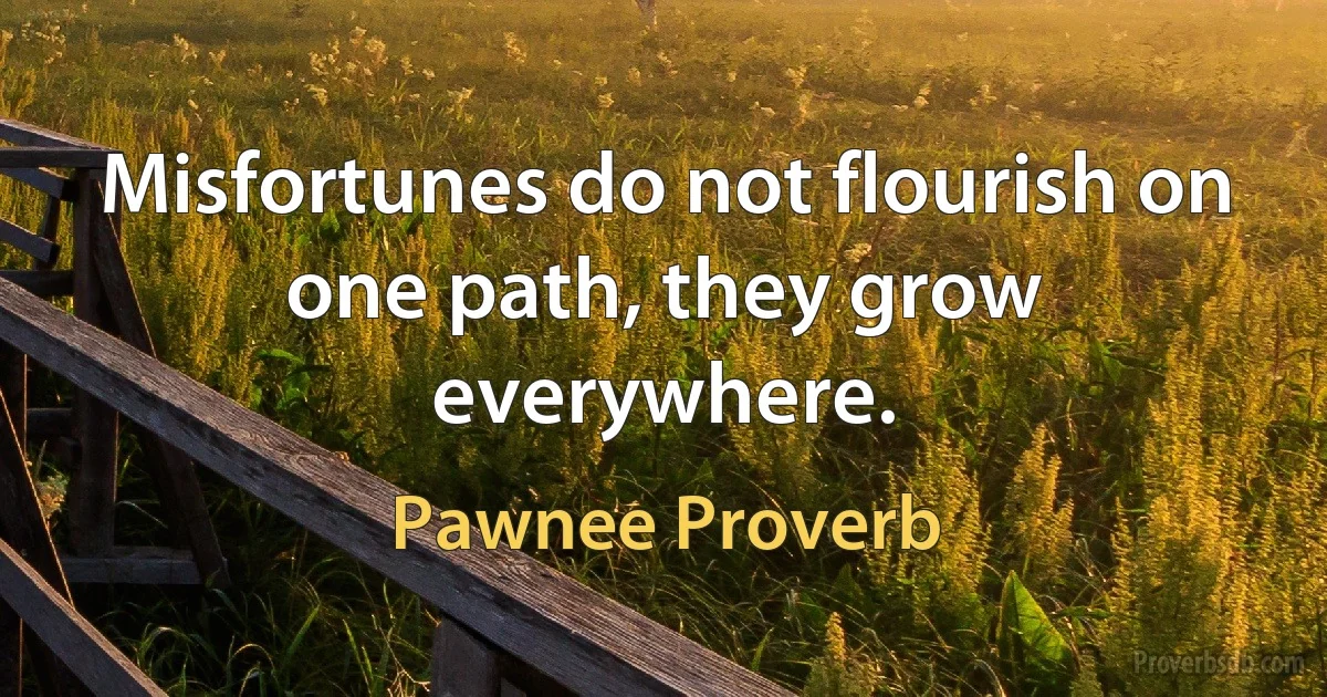 Misfortunes do not flourish on one path, they grow everywhere. (Pawnee Proverb)