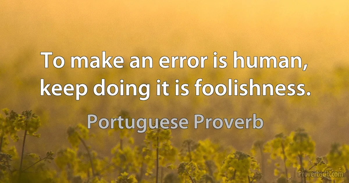 To make an error is human, keep doing it is foolishness. (Portuguese Proverb)