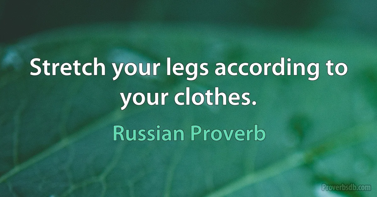 Stretch your legs according to your clothes. (Russian Proverb)