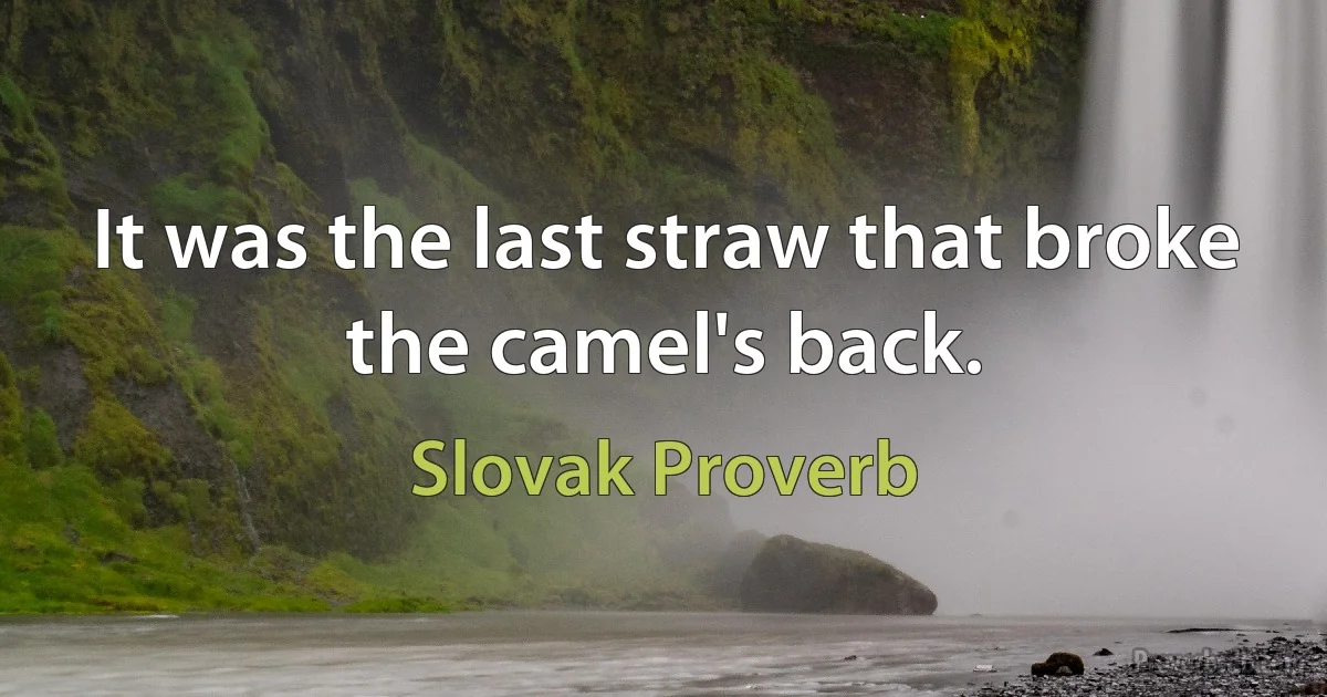 It was the last straw that broke the camel's back. (Slovak Proverb)