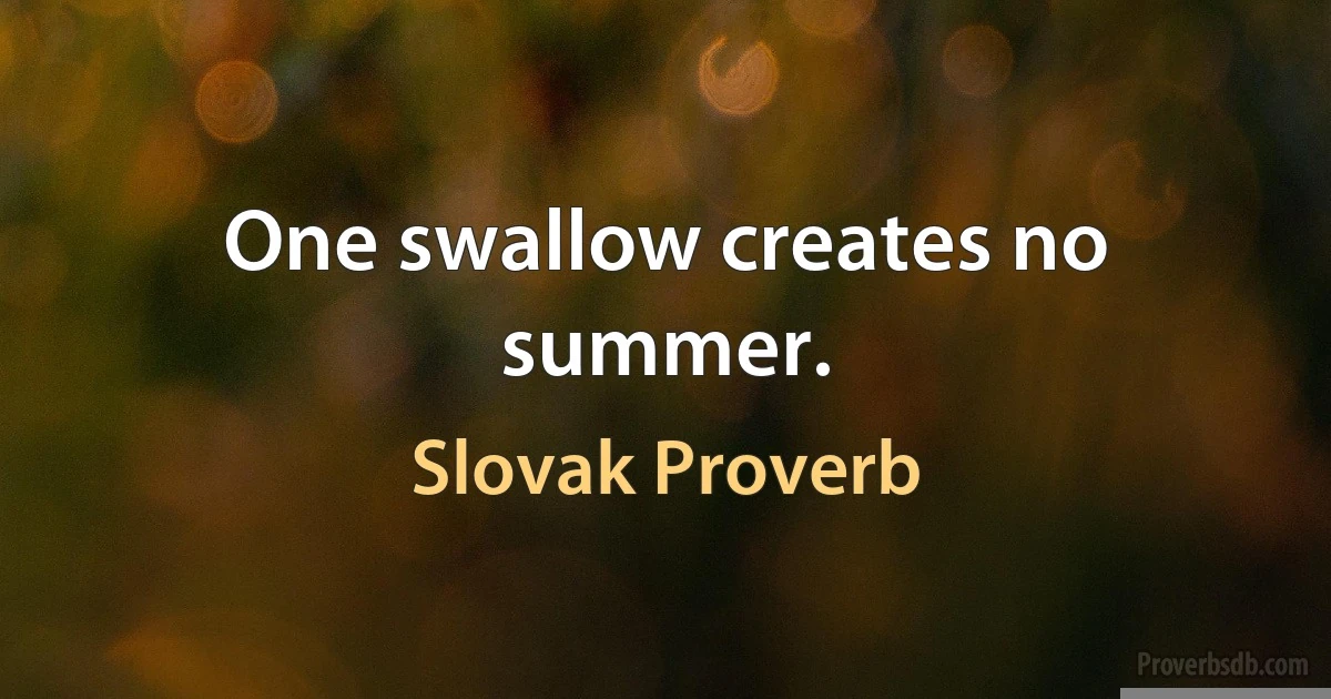 One swallow creates no summer. (Slovak Proverb)