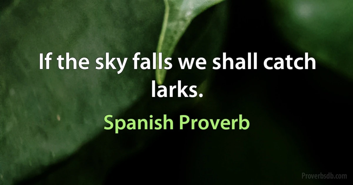 If the sky falls we shall catch larks. (Spanish Proverb)