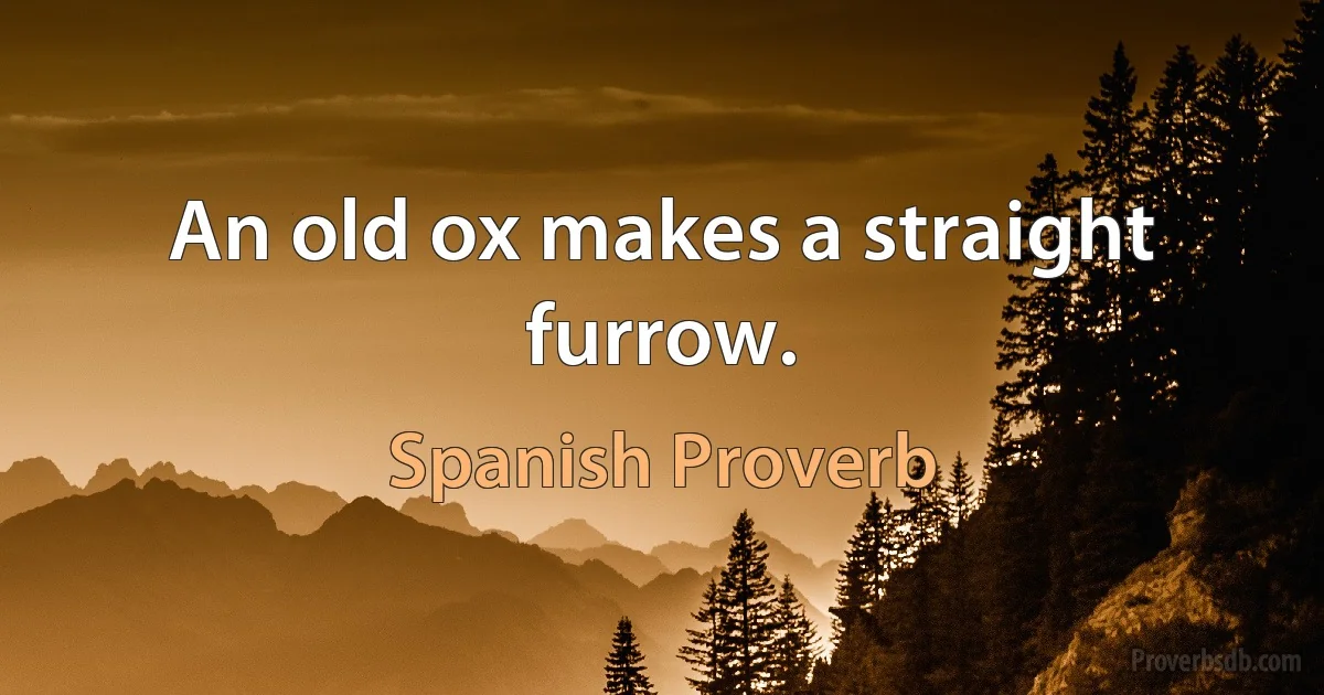 An old ox makes a straight furrow. (Spanish Proverb)