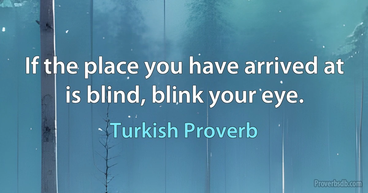 If the place you have arrived at is blind, blink your eye. (Turkish Proverb)