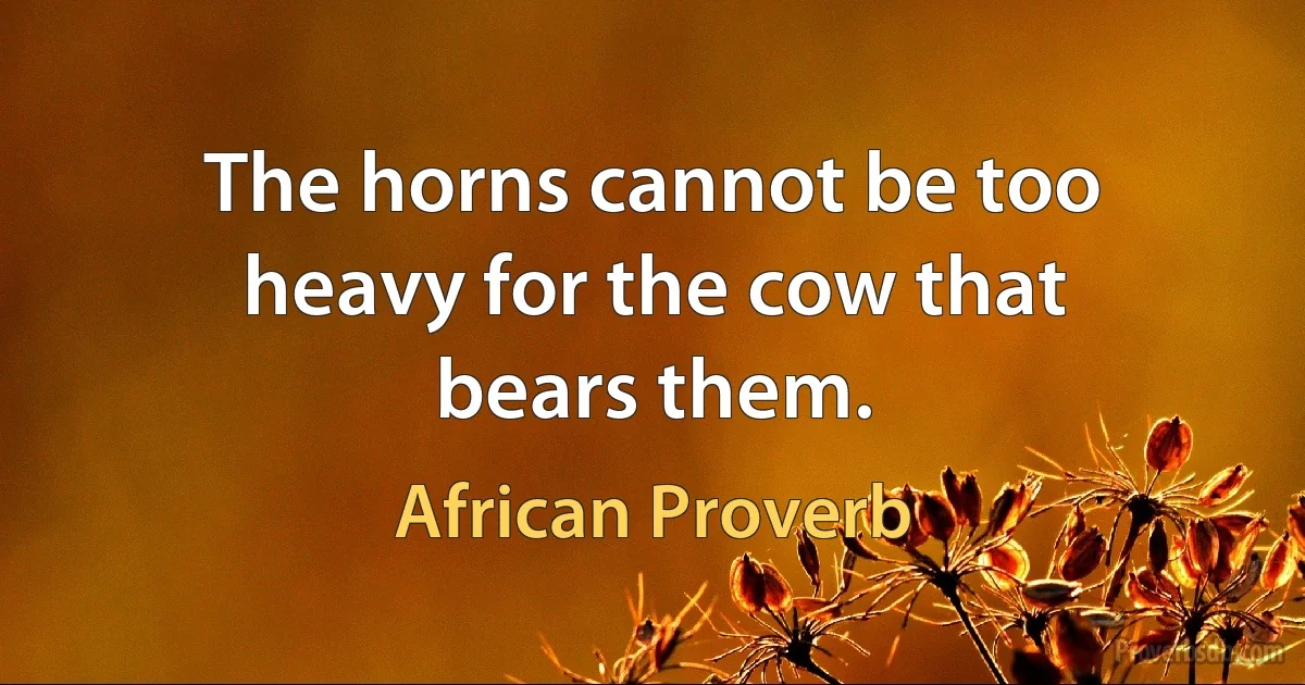 The horns cannot be too heavy for the cow that bears them. (African Proverb)