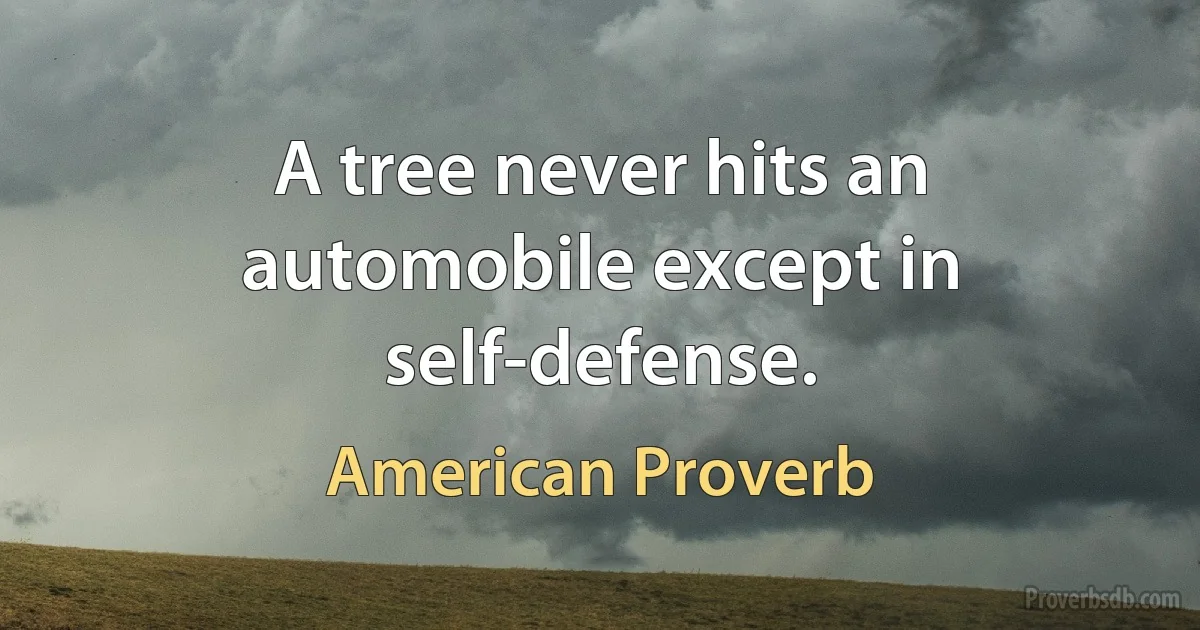 A tree never hits an automobile except in self-defense. (American Proverb)