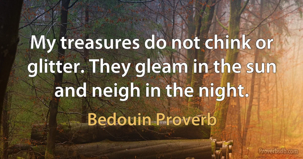 My treasures do not chink or glitter. They gleam in the sun and neigh in the night. (Bedouin Proverb)